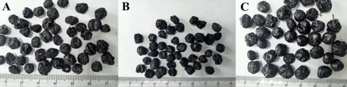 Benefits of freeze drying, hot air drying, and sun drying Goji Berry