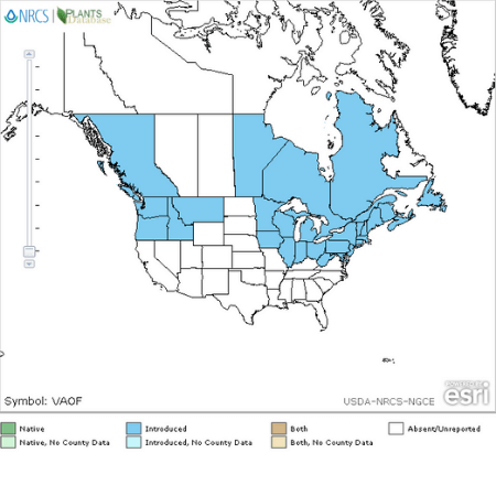 Map of where Valerian grows in plant zones 4 to 8