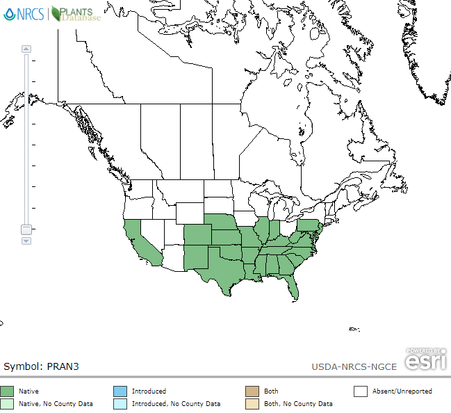 https://heppy.org/wp-content/uploads/Map-of-the-Chickasaw-Plum-Prunus-angustifolia-are-native-wild-plum-with-good-plum.png