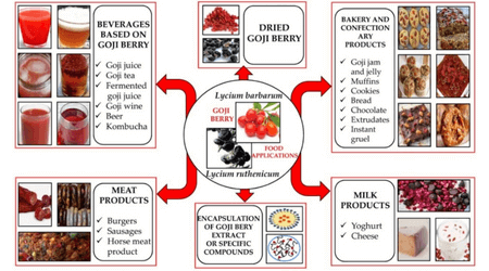 Goji Berry-based food products