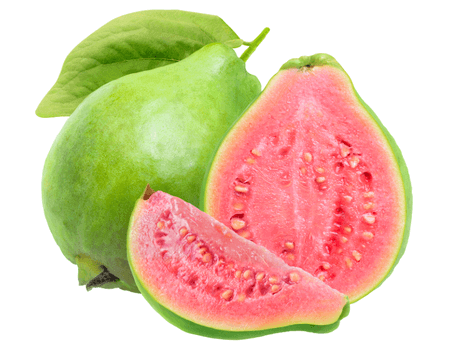 Guava1
