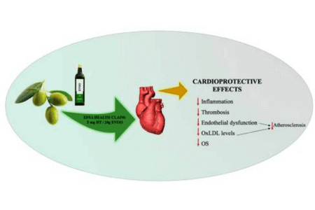 health effects in extra virgin olive oil