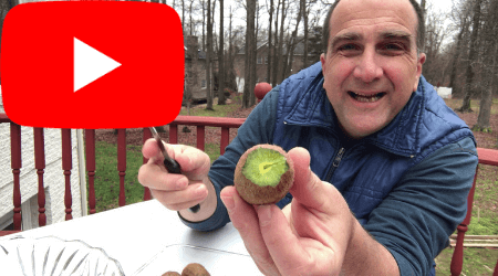 How to eat kiwi fruit on YouTube