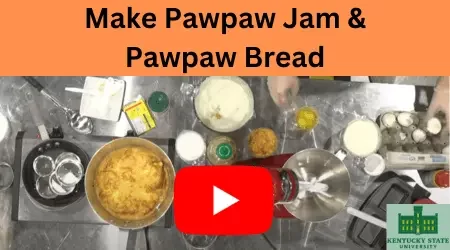 How to make Pawpaw Jam and Pawpaw Bread