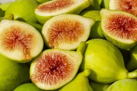 Kadota common fig