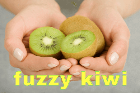 Kiwi Actinidia deliciosa