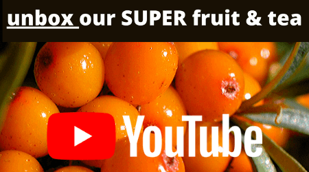 Unboxing Sea Berry plants purchased from One Green World on YouTube