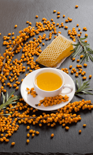 Sea Buckthorn oil skin benefits from fatty acid γ-linolenic acid (GLA) Sea Buckthorn oil skin benefits from fatty acid γ-linolenic acid (GLA)