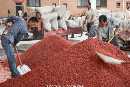 Sun Drying Goji Berry in China