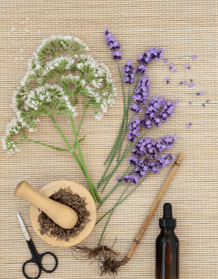 Valeriana officinalis​ products for sale include valerian tea, valerian root and cut flowers